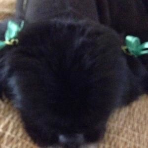 Meet your Posher, Terri